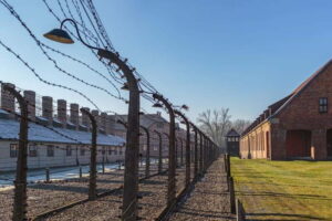 Krakow: Auschwitz-Birkenau Entry Ticket and Transfer - Getting the Timing Right: Drive Times, Breaks, and How to Plan Your Krakow Day