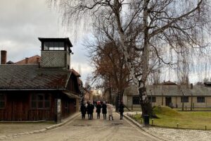 Krakow: Auschwitz-Birkenau Guided Tour & Hotel Pick Up - The day’s rhythm: what the Auschwitz-Birkenau visit actually involves