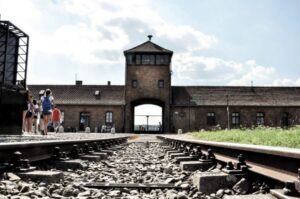 Krakow: Auschwitz-Birkenau Guided Tour Pickup/Lunch Options - Pickup, transfer time, and the part where you should stay alert