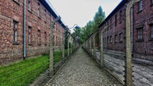Krakow: Auschwitz-Birkenau Guided Tour with Hotel Transfer - Auschwitz I: the most structured introduction to how the system worked