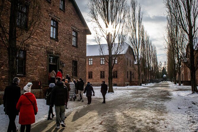 Krakow: Auschwitz-Birkenau Guided Tour with Ticket and Transfer - Entering Auschwitz I: the gate walk and how the day begins