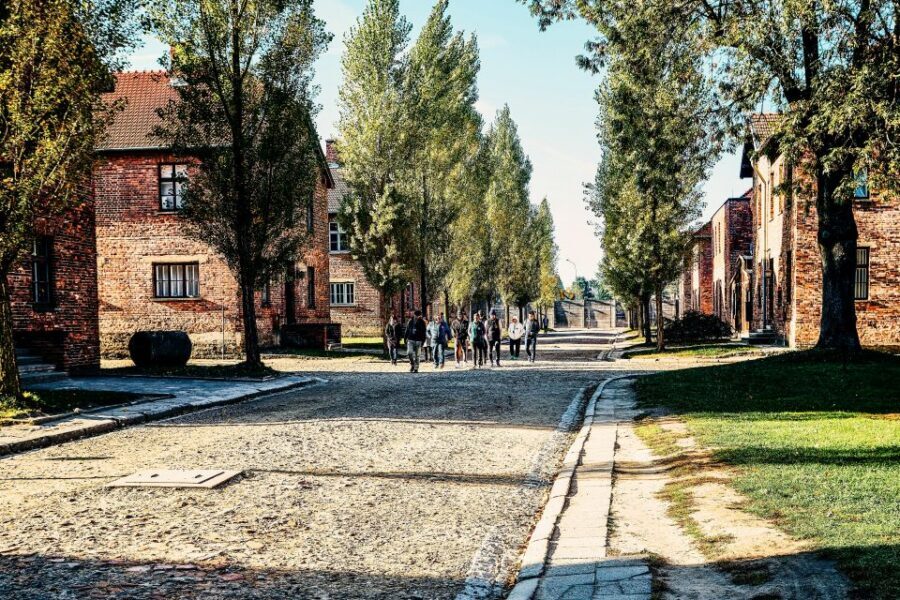 Krakow: Auschwitz-Birkenau Live Guided Tour & Hotel Pickup - Should you book KrakowDirect’s Auschwitz-Birkenau tour?