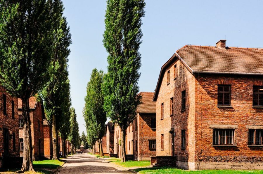 Krakow: Auschwitz-Birkenau Live Guided Tour & Hotel Pickup - Auschwitz II-Birkenau: scale, barracks, and preserved ruins