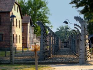 Krakow: Auschwitz Birkenau Museum Guided Tour with Pickup - Getting There From Krakow: Early Departures and a 65 km Ride