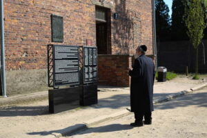 Krakow: Auschwitz-Birkenau Private Guided Tour - Door-to-door transport from Krakow: the real value driver
