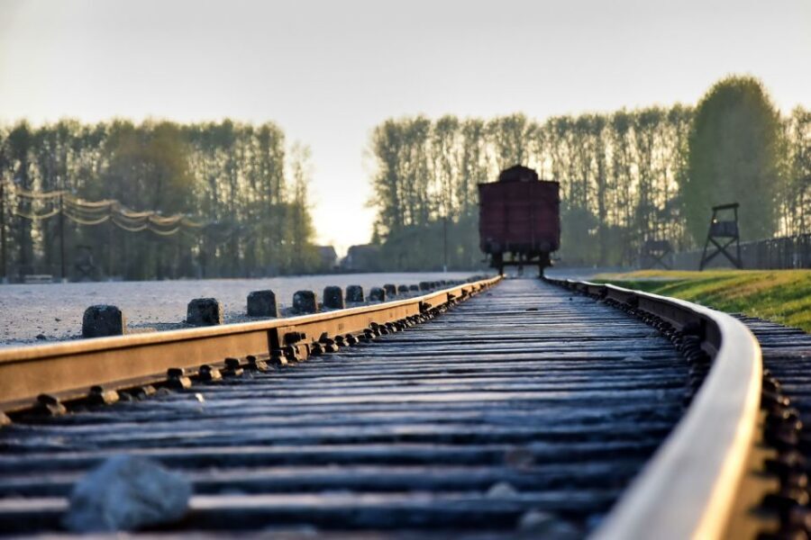 Kraków: Auschwitz-Birkenau & Salt Mine Full-Day Guided Tour - Key Things I’d Focus On Before You Go