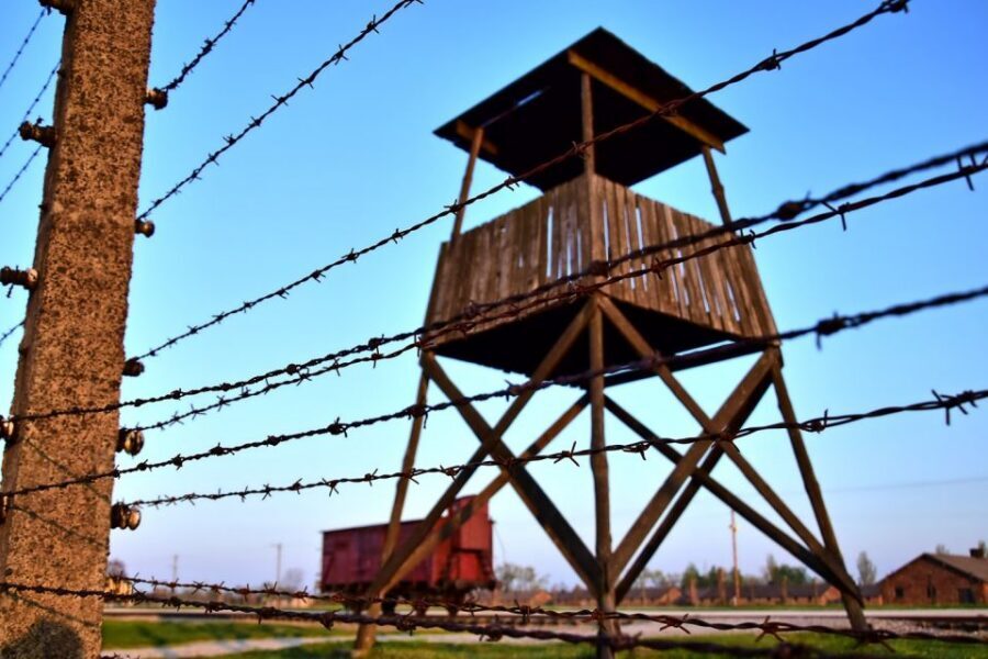Kraków: Auschwitz-Birkenau & Salt Mine Full-Day Guided Tour - Who Should Book This Tour (and Who Should Skip It)