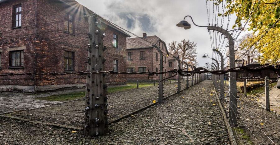 Kraków: Auschwitz-Birkenau & Salt Mine Full-Day Guided Tour - Why Auschwitz-Birkenau and Wieliczka Works as One 11-Hour Day