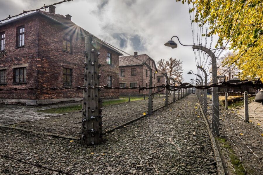 Kraków: Auschwitz-Birkenau & Salt Mine Full-Day Guided Tour - Birkenau: Why the Second Camp Hits Different