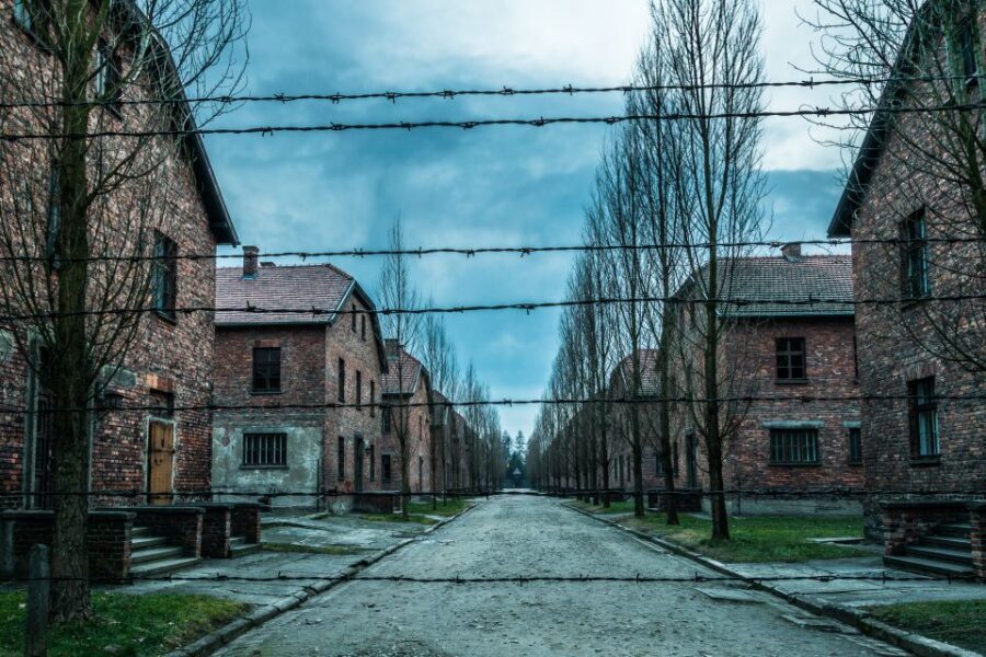 Kraków: Auschwitz-Birkenau & Salt Mine Full-Day Guided Tour - Wieliczka Salt Mine: 800 Steps Down to 135 Meters
