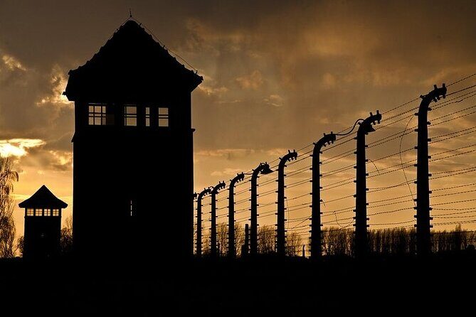 Krakow: Auschwitz-Birkenau Tour & Museum Expert Guide - Brzezinka (Birkenau): seeing Auschwitz II’s scale in 1.5 hours