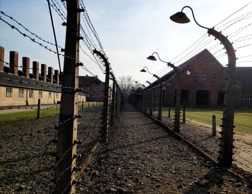 Krakow: Auschwitz-Birkenau & Wieliczka Salt Mine with Lunch - Auschwitz-Birkenau In One Guided Morning