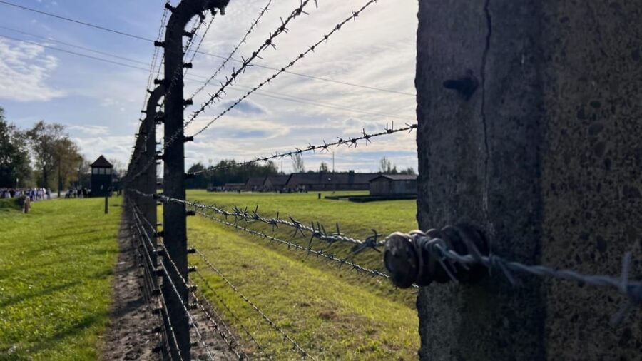 Krakow: Auschwitz-Birkenau & Wieliczka Salt Mine with Lunch - Timing Reality: This Is a Long Day, Not a Quick Hit