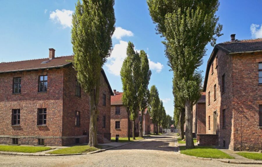 Krakow: Auschwitz Guided Tour with Optional Hotel Pickup - Why This Auschwitz-Birkenau Day Trip Works From Krakow
