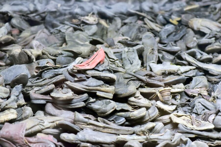 Krakow: Auschwitz Guided Tour with Pickup and Optional Lunch - Key highlights worth your attention