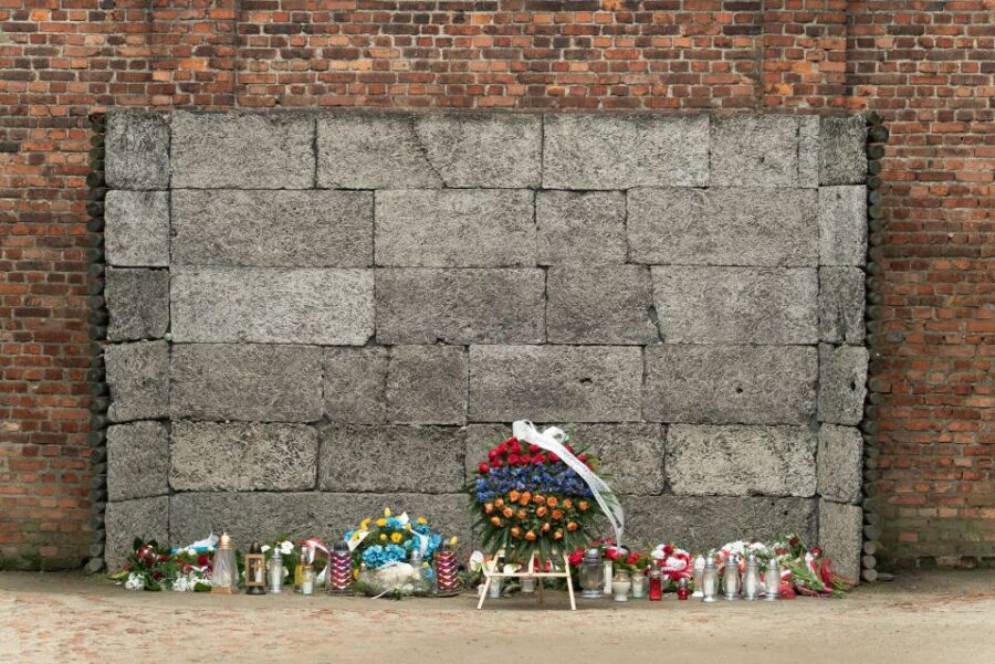 Krakow: Auschwitz Guided Tour with Pickup and Optional Lunch - Price and Value at About $54: What You’re Paying For