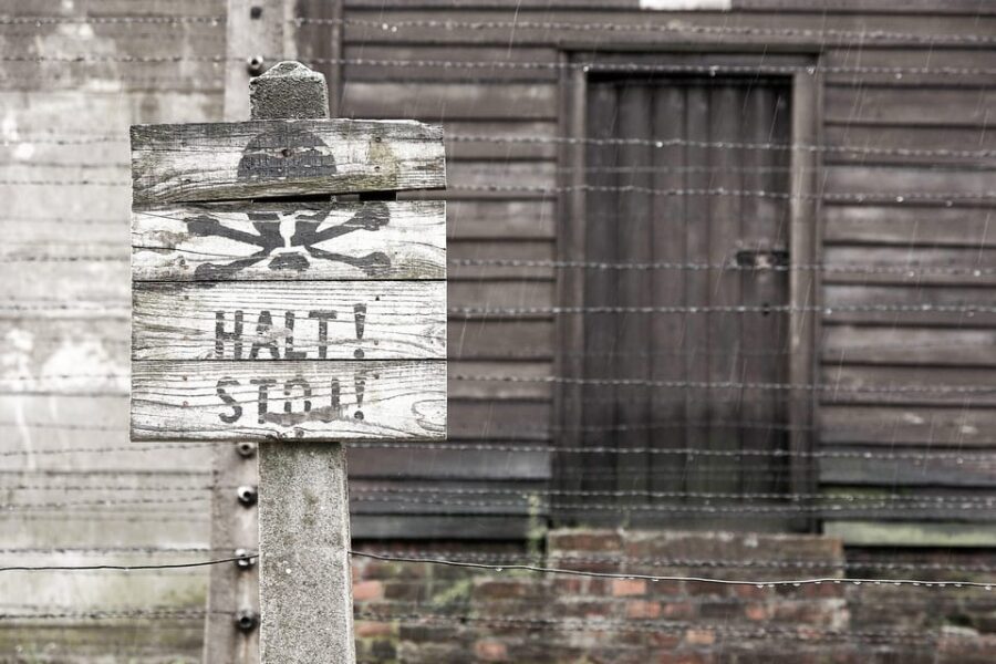 Krakow: Auschwitz & Wieliczka Salt Mine Guided Day Tour - Timing, Walking Pace, and Why This Day Can Feel Rushed