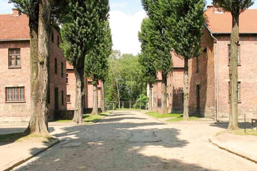 Krakow: Auschwitz & Wieliczka Salt Mine Guided Day Tour - Price and Value: What Your $54 Really Buys