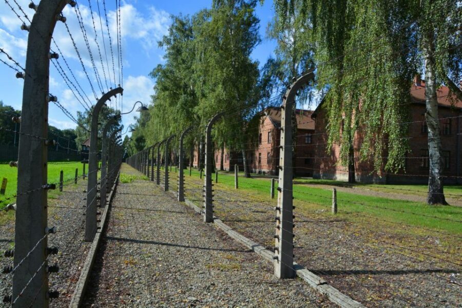 Krakow: Guided Auschwitz Birkenau Tour - Key things to know before you go