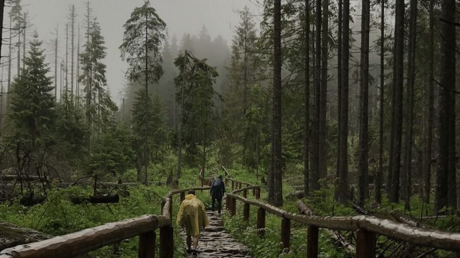 Krakow: Hiking Adventure in Tatra Mountains & Thermal Baths - Krakow to the Tatra Mountains: The Van Ride That Keeps You Moving