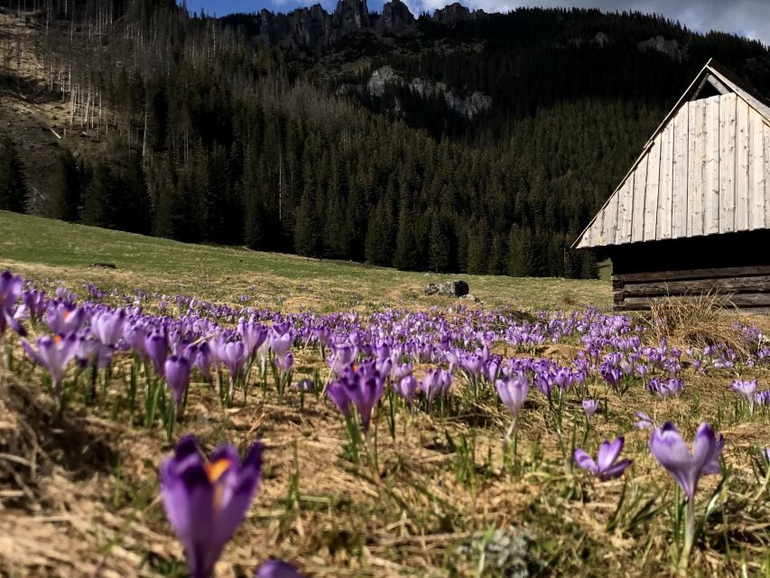 Krakow: Hiking Adventure in Tatra Mountains & Thermal Baths - How long is the day, and what’s the real pace?
