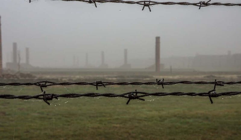 Krakow: Last Minute Auschwitz-Birkenau Guided Tour - The 10-Minute Coach Transfer: A Time Gap That Helps