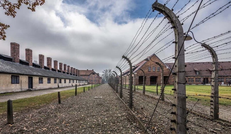 Krakow: Last Minute Auschwitz-Birkenau Guided Tour - Guides, Group Pace, and Asking Questions Without Feeling Lost
