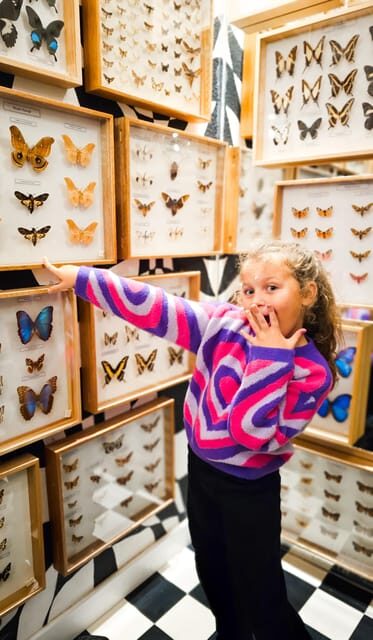 Krakow: Museum of Living Butterflies 2+1 - Key things you should know before you go