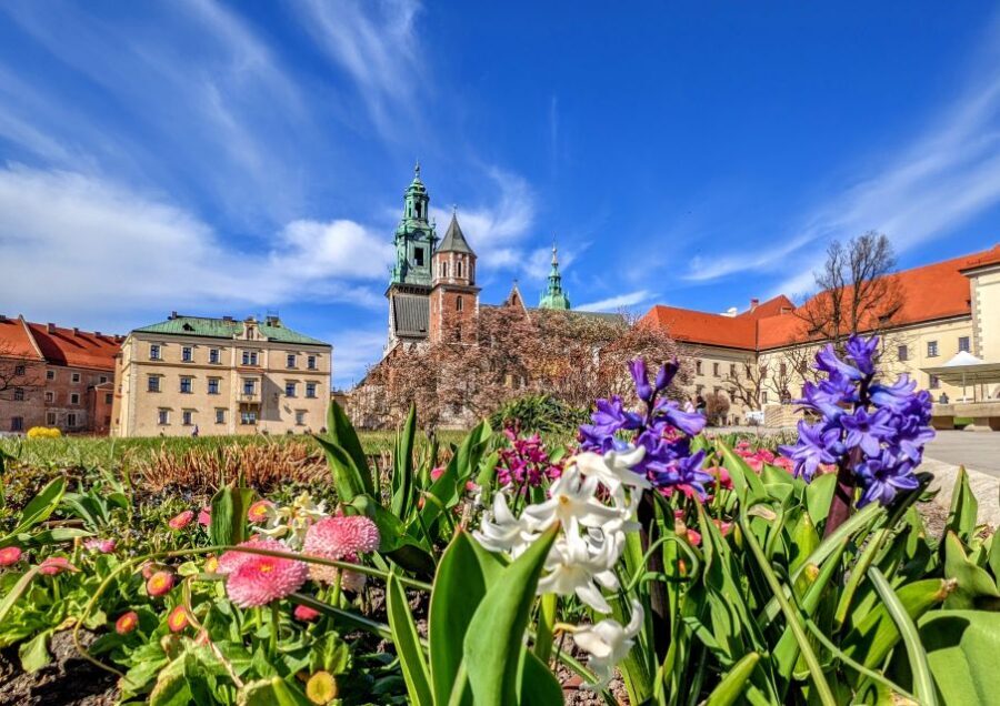 Kraków: Old Town & Wawel Castle Walking Tour in English - Who should book this walking tour?