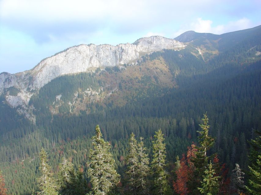 Krakow: Tatra Mountains and Zakopane Full-Day Private Tour - On the road back: countryside views that round out the day