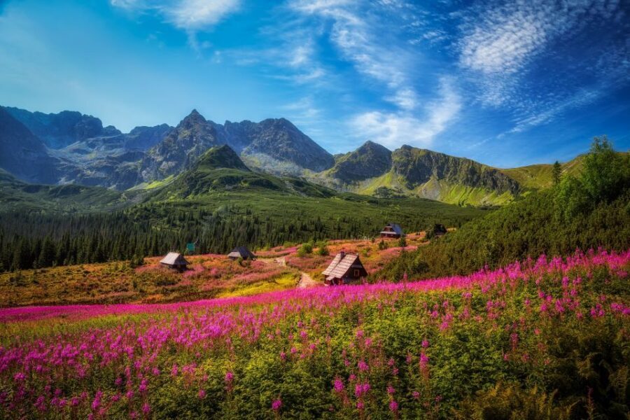 Krakow: Tatra Mountains and Zakopane Full-Day Private Tour - Krupowki Street and the oscypek stop: the easiest way to get your bearings