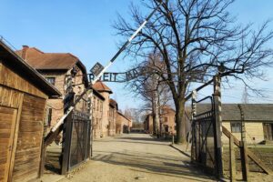 Krakow to Auschwitz Birkenau and Salt Mine 1 Day Tour - Price and Value: Is $314.42 Reasonable
