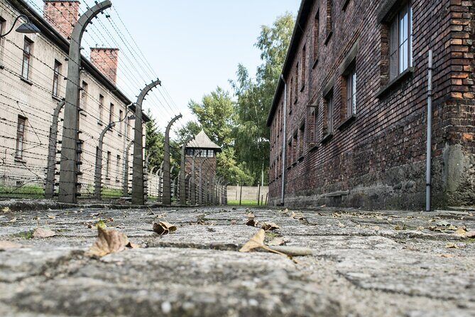 Krakow to Auschwitz Birkenau Guided Tour with Ticket and Transfer - The Krakow-to-Auschwitz “get there without stress” setup