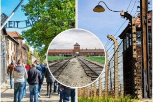 Krakow to Auschwitz-Birkenau Live Guided Tour & Hotel Pick-up - Pickup in Krakow: Hotel Transfer vs Central Meeting Point