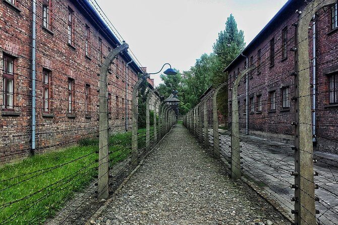 Krakow to Auschwitz-Birkenau: Private Round-Trip Experience - The driver-as-guide approach (informal context, not a museum escort)
