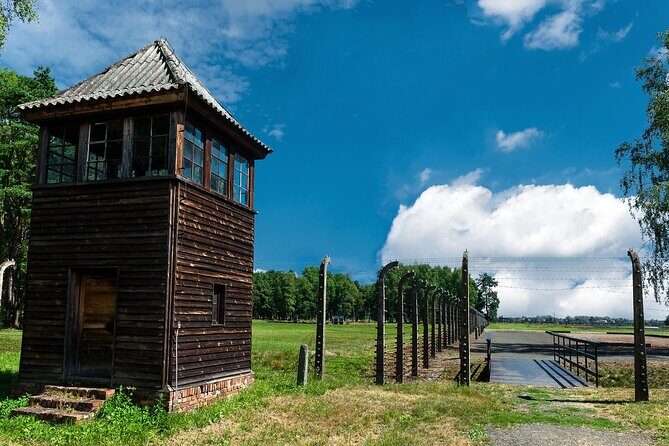 Krakow to Auschwitz-Birkenau: Private Round-Trip Experience - Tickets and the free-entry reality (plan this early)