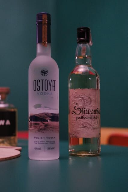 Krakow: Vodka Tasting in Hidden Bar - Vodka and food pairings that actually work