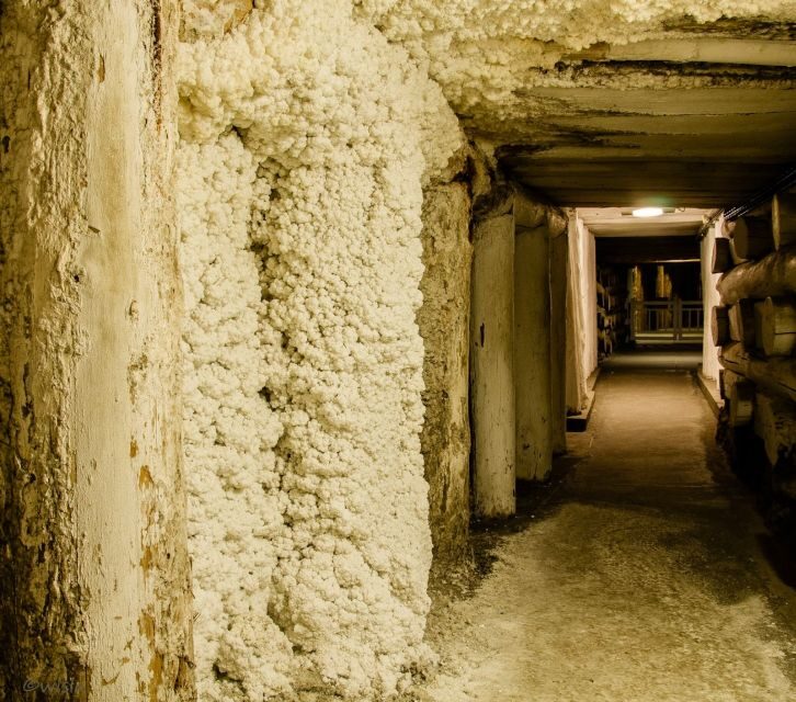 Krakow: Wieliczka Salt Mine Skip-the-Line Live Guided Tour - The walk down: stairs, an elevator up, and what to wear