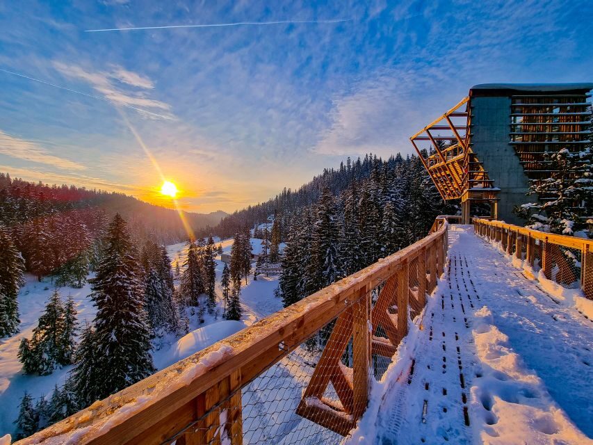 Krakow: Zakopane, Thermal Baths and Gorce Park Treetop Walk - Key highlights to know before you go