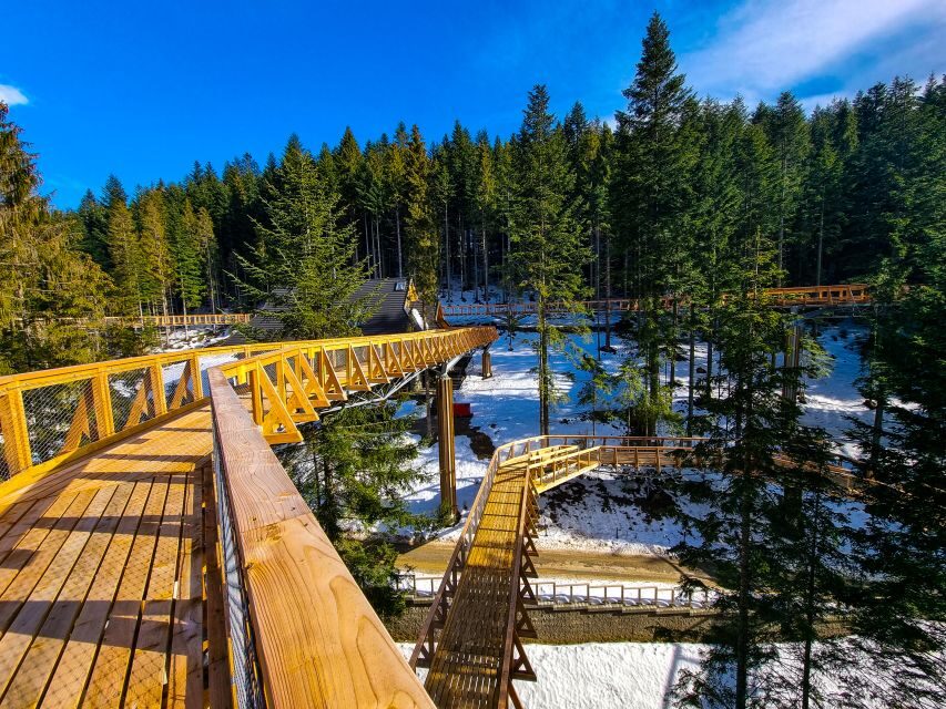 Krakow: Zakopane, Thermal Baths and Gorce Park Treetop Walk - Getting the most out of your day: timing, pace, and comfort