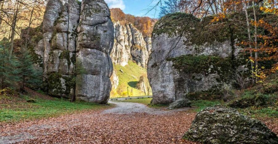 Ojcow National Park: Full-Day Trip from Krakow - The forest hike toward Krakow Gate: where the day gets physical