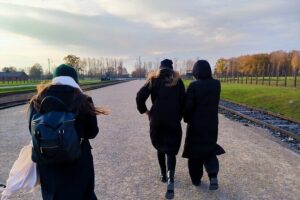 Private Guided Tour to Auschwitz & Birkenau from Krakow - Hotel pickup and the drive: where the comfort matters
