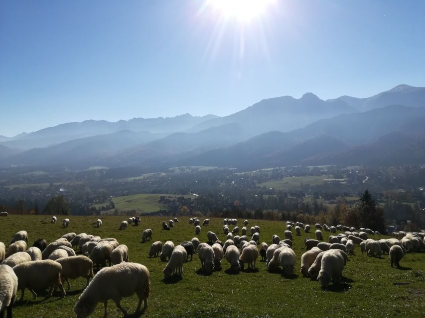 Rafting on Dunajec & Zakopane Tour – Day Trip from Krakow - Dunajec River Rafting (2.25 Hours): Calm Water, Big Views, River Guides