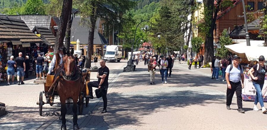 Rafting on Dunajec & Zakopane Tour – Day Trip from Krakow - Zakopane and Krupówki Street: Free Time, Local Treats, and Mountain Vibes