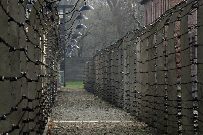 Two Krakow Airport Transfers, Auschwitz-Birkenau & Salt Mine - Auschwitz-Birkenau: what a guided group visit actually helps with