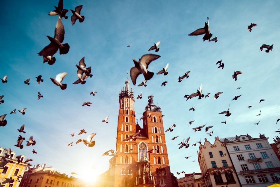Wawel Castle & Cathedral Skip the Line Small Group Tour - Key things to know before you go