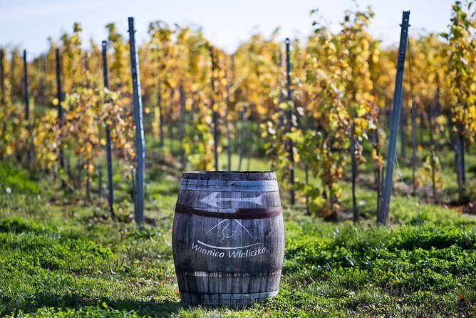 Wieliczka Vineyard: Wine tasting with local snacks - Winnica Wieliczka: what you’ll do in 90 minutes