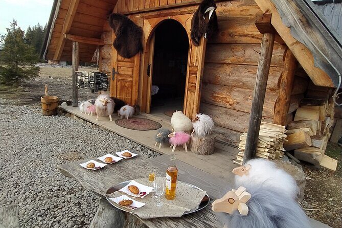 Zakopane and Hot Baths Private Tour from Krakow with tickets - Your 12-hour day from Krakow: timing, energy, and lunch planning