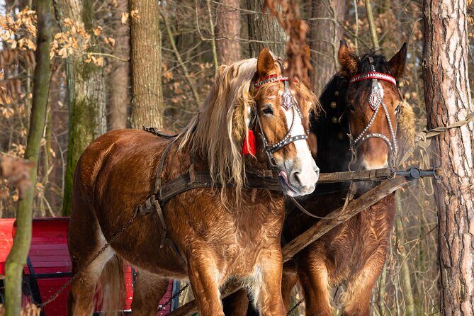 Zakopane Horse-Drawn Rides with Local Guide and Food Tasting - Chocholow Bonfire Stop: Regional Food You Can Actually Recognize
