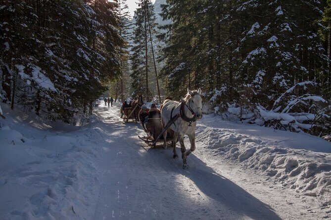 Zakopane Horse-Drawn Rides with Local Guide and Food Tasting - What to Wear and Bring for an Outdoor Night Ride